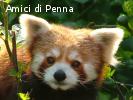 Mangiatore di libri/Scrittore senza talento cerca amico