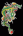 Avatar di Dohko